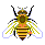 H013 セイヨウミツバチ